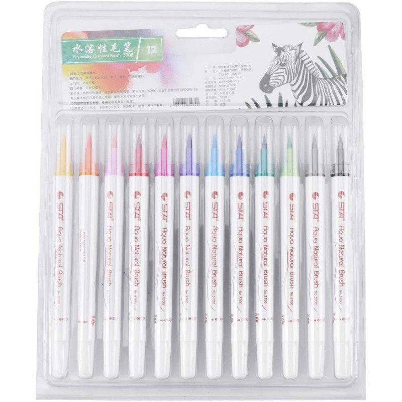 Stationery Paint Brush Pens, Painting with Flexible Nylon Brush Tips, Paint  Markers for Coloring, Calligraphy and Drawing Pen - China Pen, Brush Pen